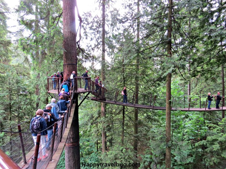 Treetops Adventure | Capilano Suspension Bridge Park - The {Happy ...